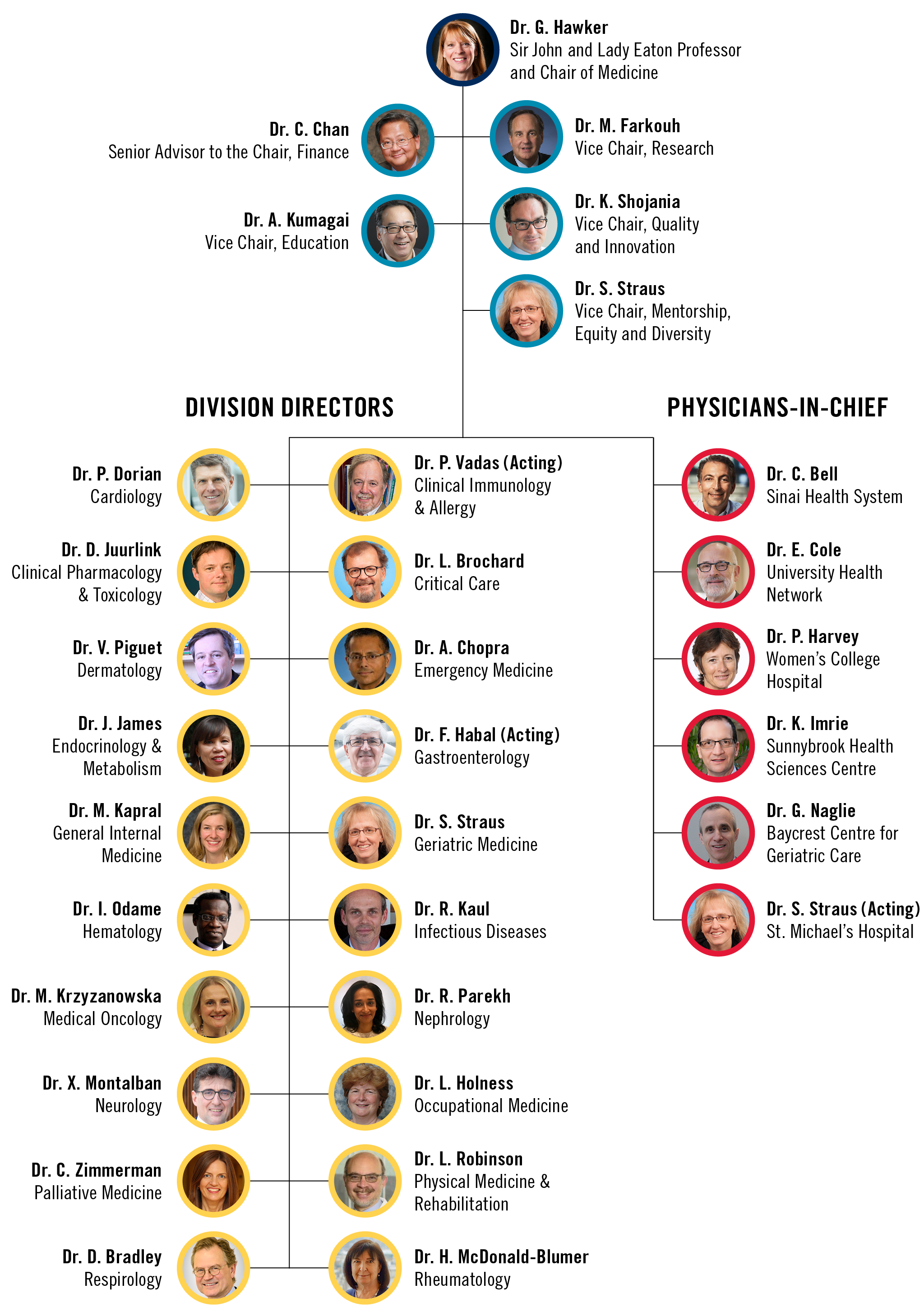 Department of Medicine Organizational Chart