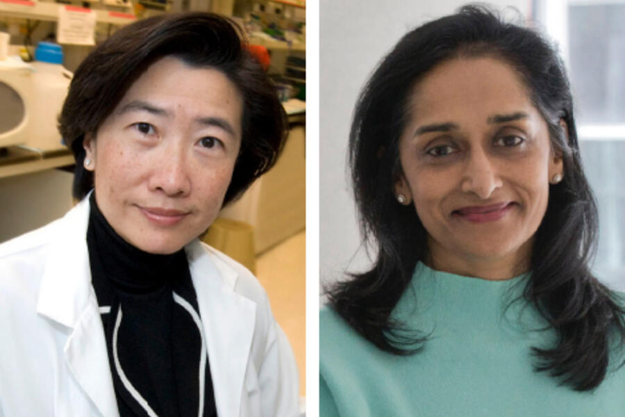 Rae Yeung and Rulan Parekh