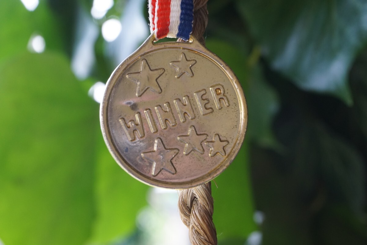 Gold medal with the word winner on it