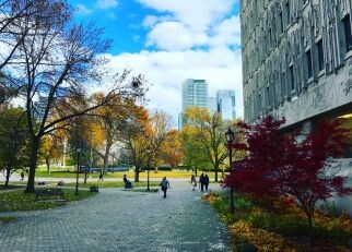 U of T students walking