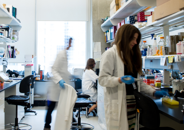 researchers in the lab